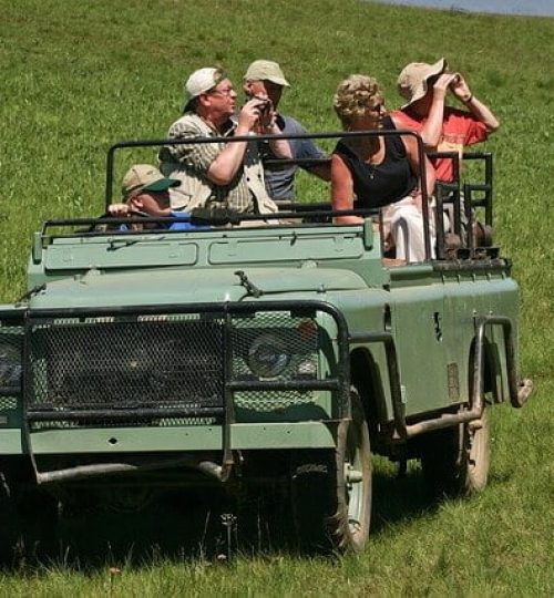 Safari Jeep car